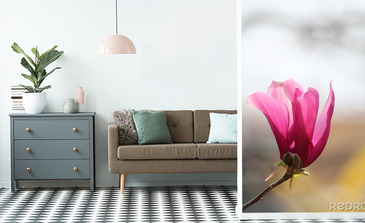 Visualisation du produit