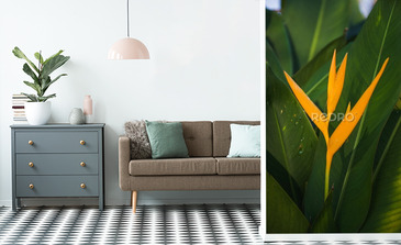 Visualisation du produit