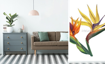 Visualisation du produit