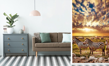 Visualisation du produit