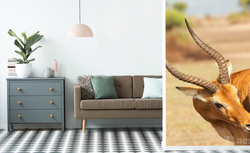 Visualisation du produit