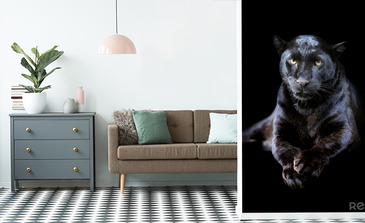 Visualisation du produit