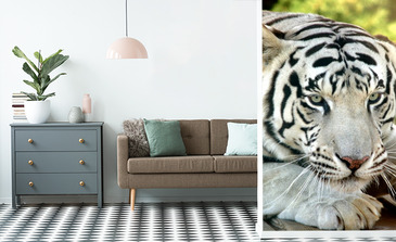 Visualisation du produit