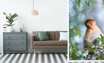 Visualisation du produit