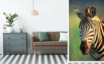 Visualisation du produit