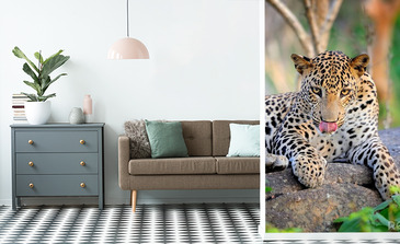 Visualisation du produit