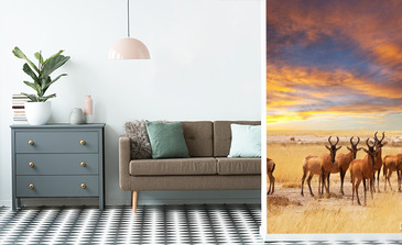 Visualisation du produit