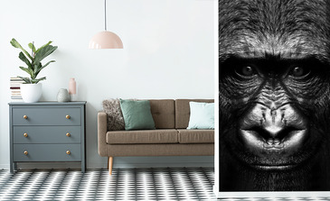 Visualisation du produit