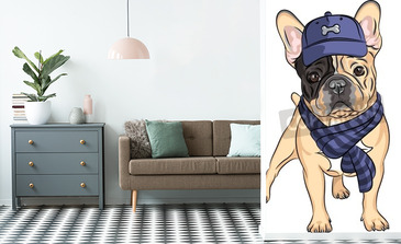 Visualisation du produit