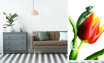 Visualisation du produit