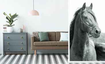 Visualisation du produit