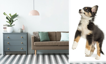 Visualisation du produit