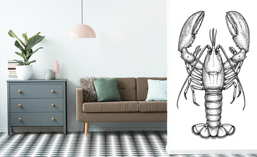 Visualisation du produit