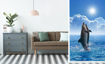 Visualisation du produit