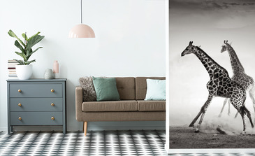 Visualisation du produit