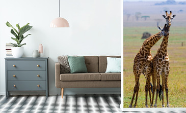 Visualisation du produit