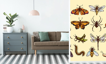 Visualisation du produit