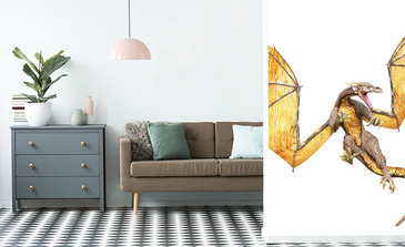 Visualisation du produit