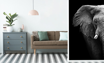 Visualisation du produit