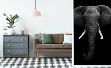 Visualisation du produit