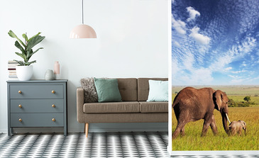 Visualisation du produit