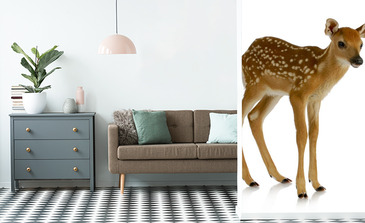 Visualisation du produit