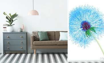 Visualisation du produit