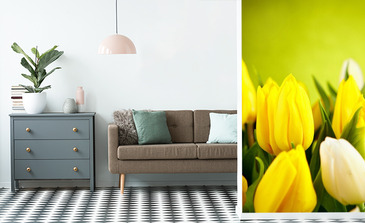 Visualisation du produit