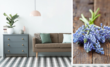 Visualisation du produit