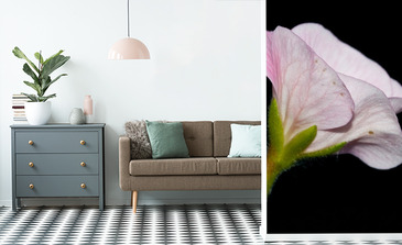 Visualisation du produit