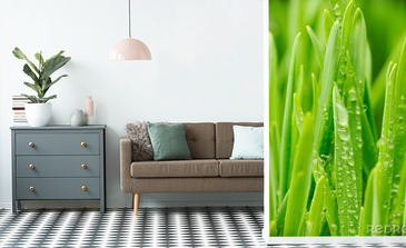 Visualisation du produit