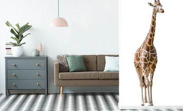 Visualisation du produit