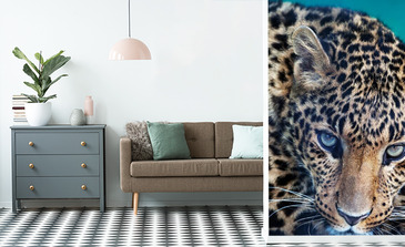 Visualisation du produit