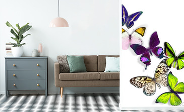 Visualisation du produit