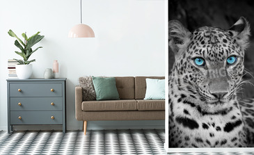 Visualisation du produit