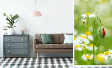 Visualisation du produit