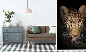 Visualisation du produit