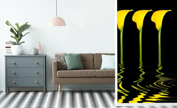 Visualisation du produit