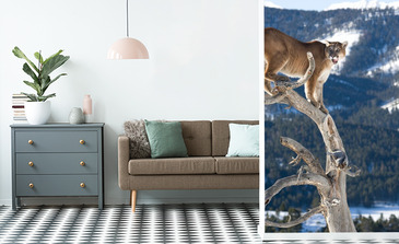 Visualisation du produit