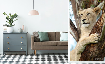 Visualisation du produit