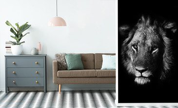 Visualisation du produit