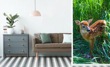 Visualisation du produit