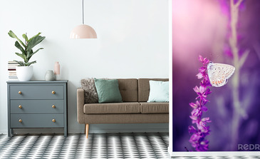 Visualisation du produit