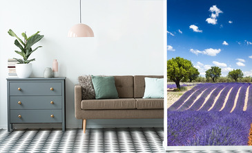 Visualisation du produit