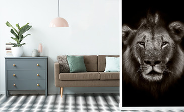 Visualisation du produit