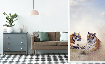 Visualisation du produit