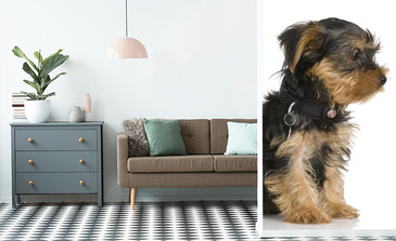 Visualisation du produit