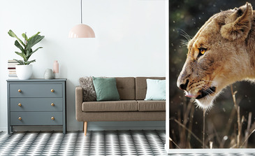 Visualisation du produit