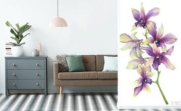 Visualisation du produit