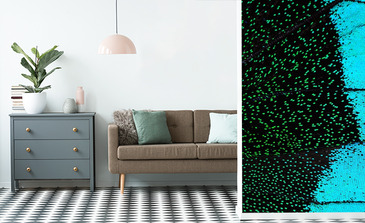 Visualisation du produit